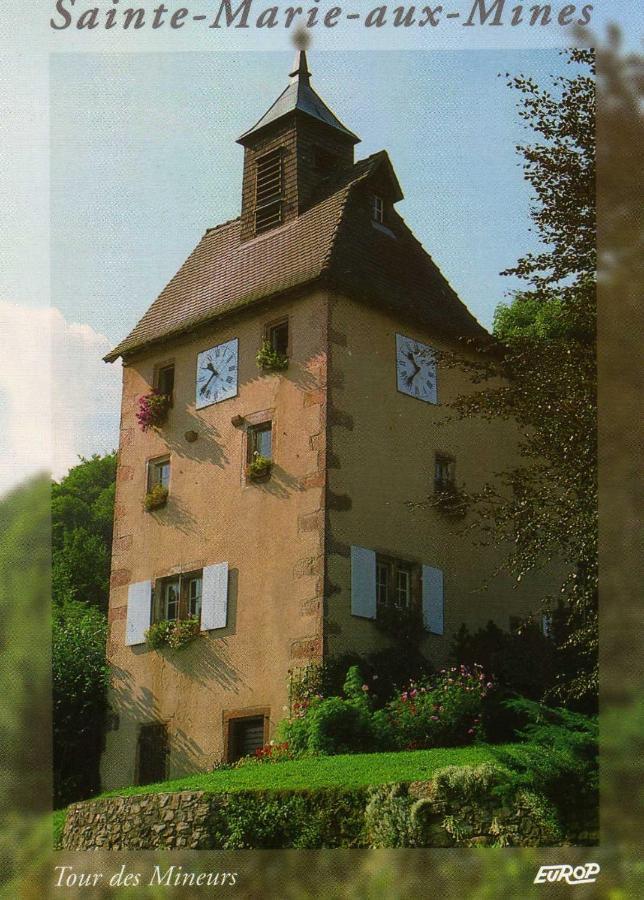 Les Lilas Sainte-Marie-aux-Mines Esterno foto